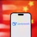 ‘Hundreds’ of companies are blocking DeepSeek over China data risks