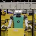 Amazon Unveils the Future of Human Roles in an AI-Driven Workplace