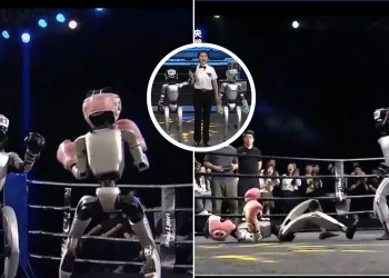 Groundbreaking Humanoid Robot Boxing Match Debuts in China, Highlighting Advances in Robotics