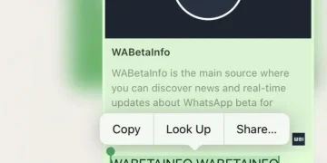 IPhone Users Can Now Easily Copy Large Portions of WhatsApp Messages