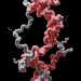 Latent Labs Launches Web-Based AI Tool to Make Protein Design More Accessible