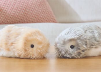 Casio Says New AI Pet Moflin Can Be “Revived” If It “Dies”