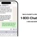WhatsApp to Ban ChatGPT Bots—Here’s How to Save Your Chat History
